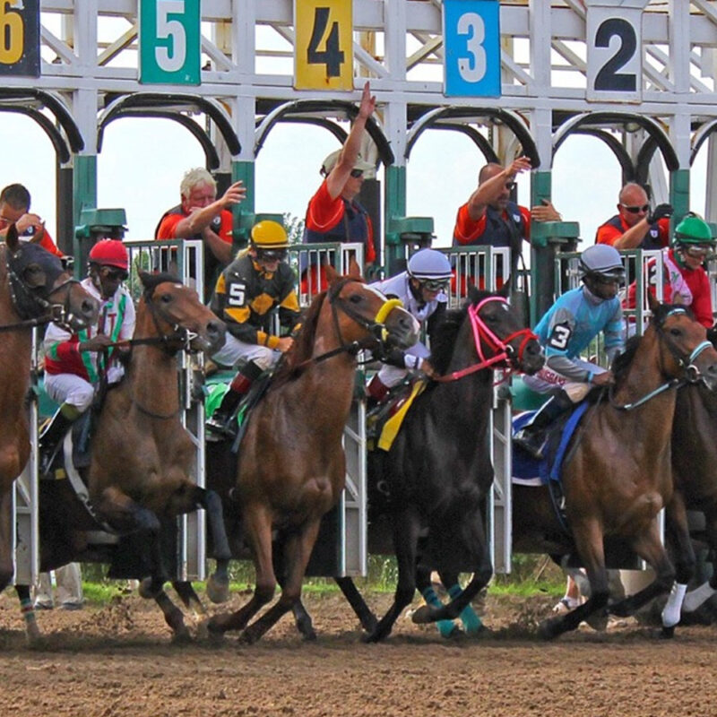 Ontario commits to two more decades of horse racing funds